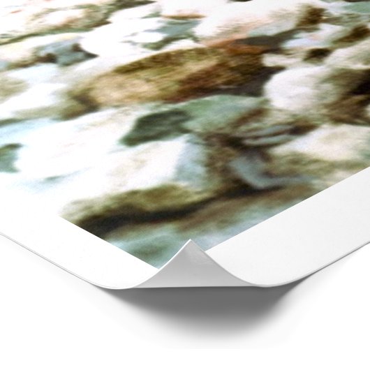 Regenbogenforelle in Bachfischen Poster AB 8.99 (Ecke)