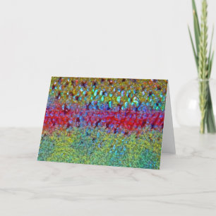 Regenbogenforelle - Karte
