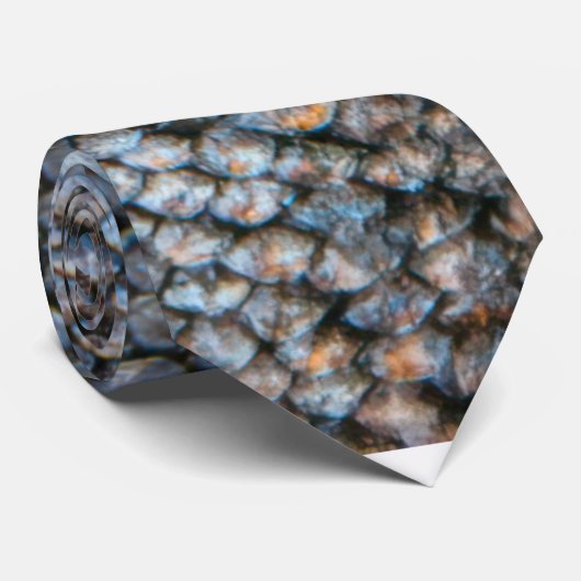 Regenbogenforelle Krawatte (Gerollt)