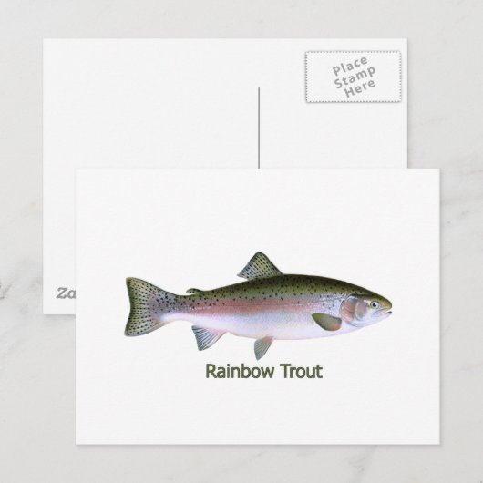 Regenbogenforelle-Logo Postkarte (Vorne/Hinten)