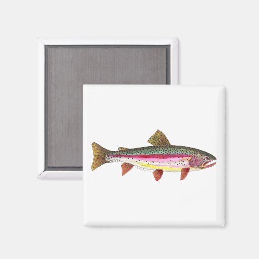 Regenbogenforelle Magnet (Vorderseite/Rückseite)