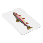 Regenbogenforelle Magnet (Rechte Seite)