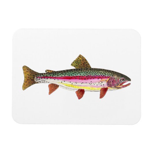 Regenbogenforelle Magnet (Horizontal)