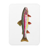 Regenbogenforelle Magnet (Vertikal)