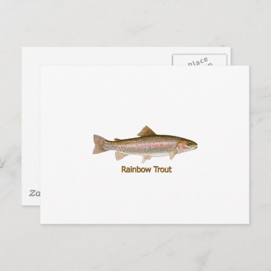 Regenbogenforelle (mit Titel) Postkarte (Vorne/Hinten)