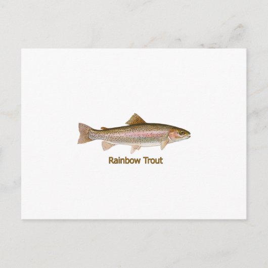 Regenbogenforelle (mit Titel) Postkarte (Vorderseite)