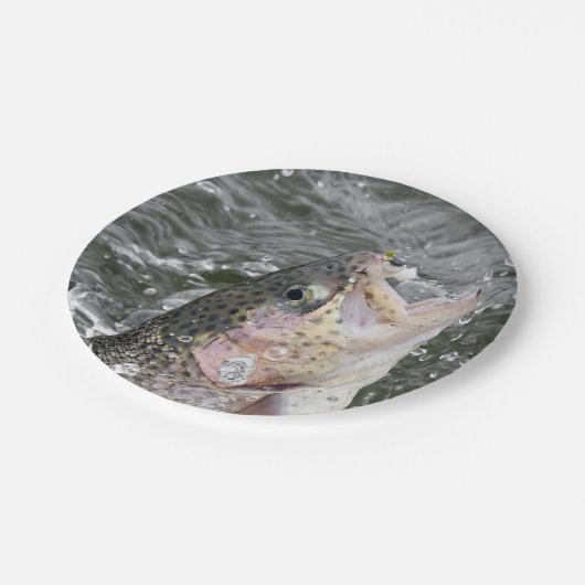 Regenbogenforelle nimmt den Köder Pappteller (Schrägansicht)