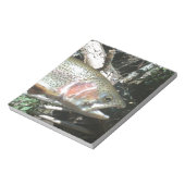 Regenbogenforelle Notizblock (Rotiert)