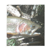 Regenbogenforelle Notizblock (Vorderseite)