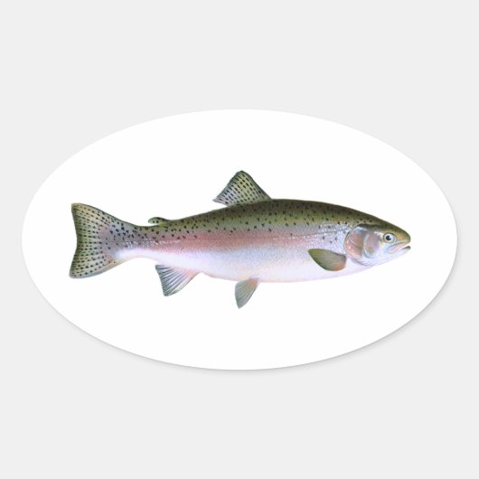 Regenbogenforelle Ovaler Aufkleber (Vorderseite)