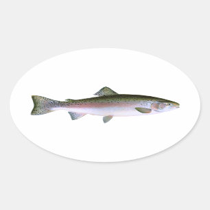 Regenbogenforelle Ovaler Aufkleber