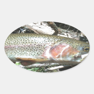 Regenbogenforelle Ovaler Aufkleber