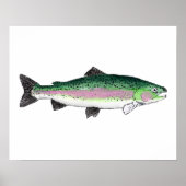 Regenbogenforelle Poster (Vorne)