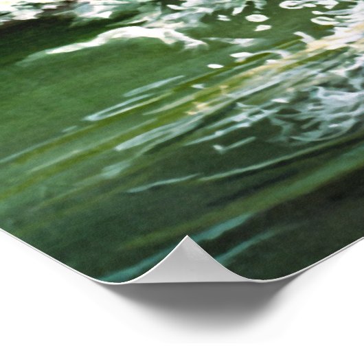 Regenbogenforelle Poster (Ecke)