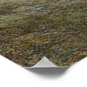 Regenbogenforelle Poster (Ecke)