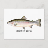 Regenbogenforelle Postkarte (Vorderseite)