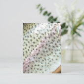 Regenbogenforelle Postkarte (Stehend Vorderseite)