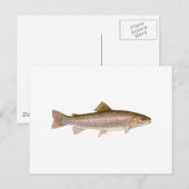 Regenbogenforelle Postkarte (Vorne/Hinten)