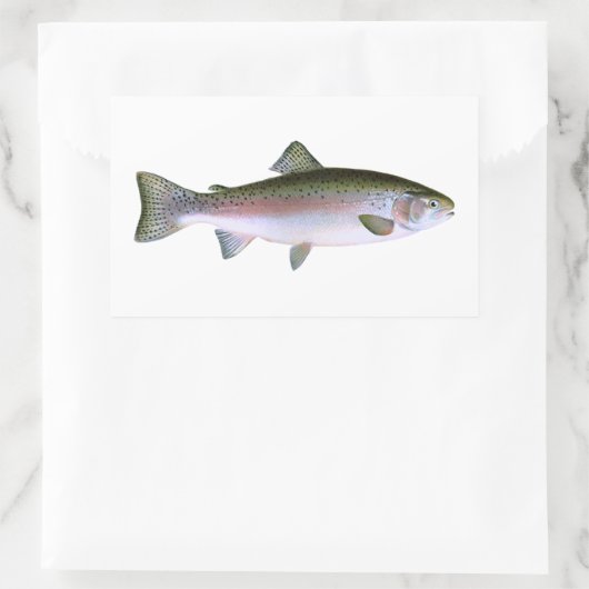 Regenbogenforelle Rechteckiger Aufkleber (Tasche)
