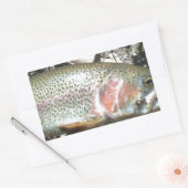 Regenbogenforelle Rechteckiger Aufkleber (Umschlag)