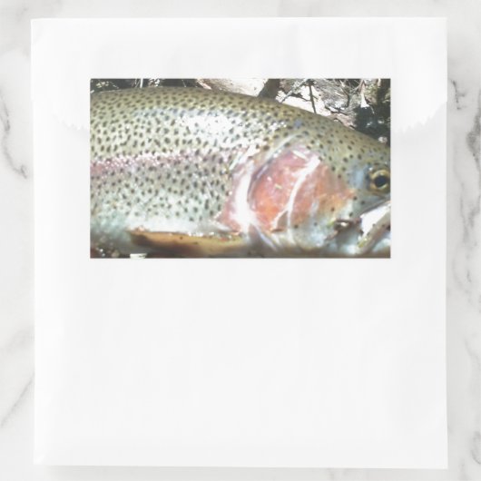 Regenbogenforelle Rechteckiger Aufkleber (Tasche)