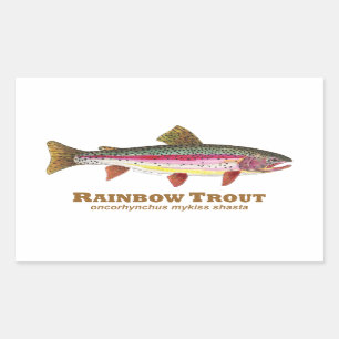 Regenbogenforelle Rechteckiger Aufkleber