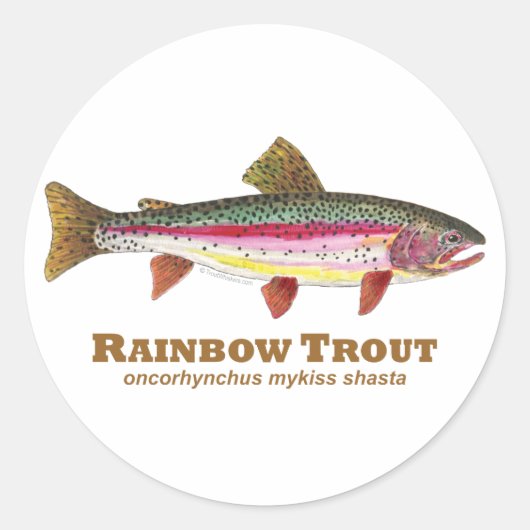 Regenbogenforelle Runder Aufkleber (Vorderseite)
