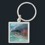 Regenbogenforelle Schlüsselanhänger<br><div class="desc">Kennzeichnet ein Nahaufnahme-Foto einer Regenbogenforelle (manchmal genannt eine Lachsforelle) durch ein Betrachtungsfenster am Bonneville-Fisch-Brutplatz in Oregon. Regenbogenforelle sind die gleichen Spezies, wie Stahlkopf, der Unterschied, der dieser Stahlkopf ist-, einen Seelauf haben und zu den Fischeiern in Frischwasser nach 2-3 Jahren in Meer zurückgehen.</div>