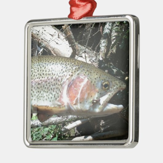 Regenbogenforelle Silbernes Ornament (Links)