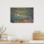 Regenbogenforelle (Springen) Poster (Küche)