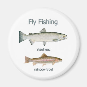Regenbogenforelle - Steelhead Magnet
