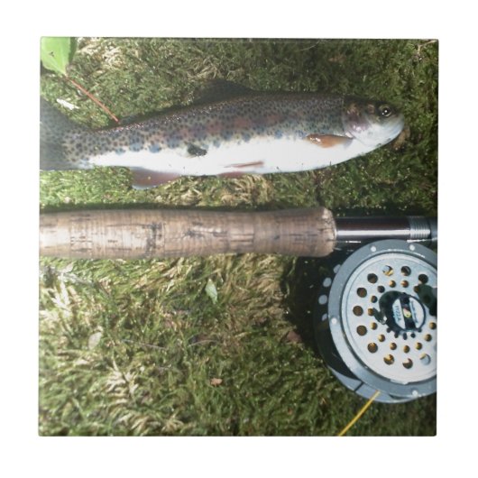 Regenbogenforelle und Fliegenfischer Fliese (Vorderseite)