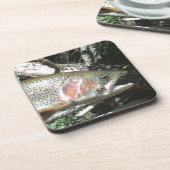 Regenbogenforelle Untersetzer (Linke Seite)