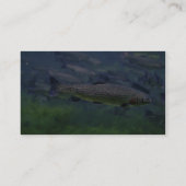 Regenbogenforelle Visitenkarte (Rückseite)