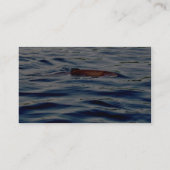 Regenbogenforelle Visitenkarte (Rückseite)