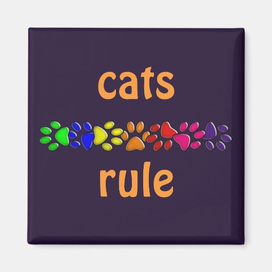Regenbogenkatze Magnet (Vorne)