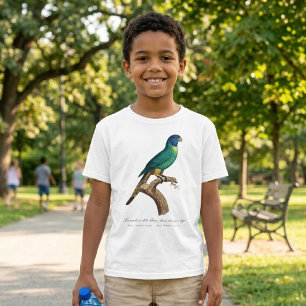 Regenbogenlori Jungtier Trichoglossus moluccanus T-Shirt