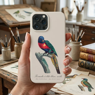 Regenbogenlori Männchen, Trichoglossus Moluccanus Case-Mate iPhone Hülle
