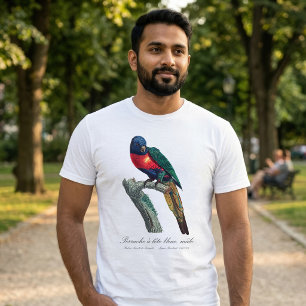 Regenbogenlori Männchen, Trichoglossus Moluccanus T-Shirt
