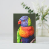 Regenbogenlori Postkarte (Stehend Vorderseite)