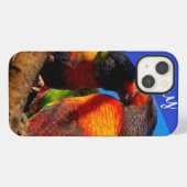 Regenbogenlorikeet IPhone 8/7 Hülle (Rückseite (Horizontal))