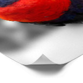 Regenbogenlorikit poster (Ecke)