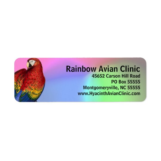 RegenbogenMacaw mit buntem Hintergrund
