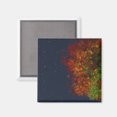 Regenbogenmagnet Magnet (Vorderseite/Rückseite)