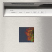 Regenbogenmagnet Magnet (In Situ (Geschirrspüler))