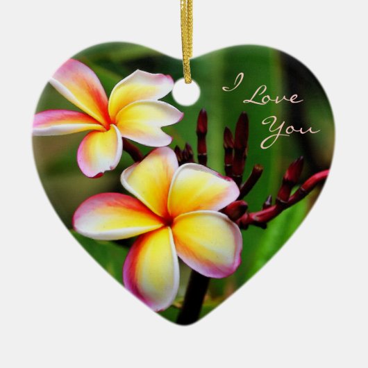 RegenbogenPlumeria, i-Liebe, die Sie verzieren Keramik Ornament (Vorne)