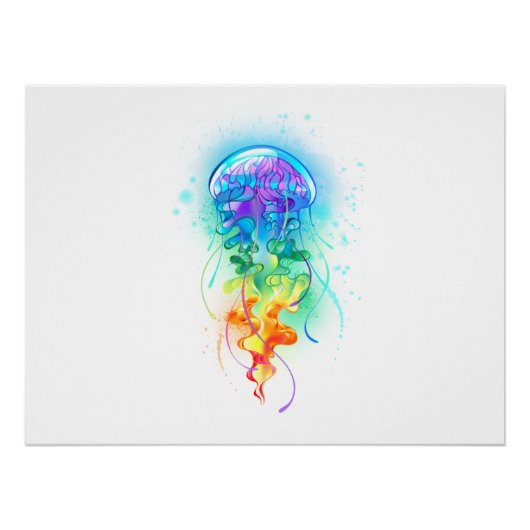 Regenbogenqualle Poster (Vorderseite)