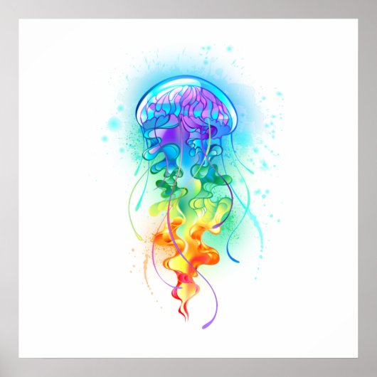 Regenbogenqualle Poster (Vorne)