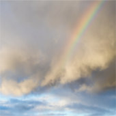 Regenbogenrebellion Aufkleber (Vorderseite)