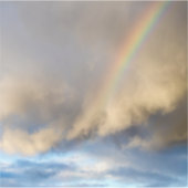 Regenbogenrebellion Aufkleber (Vorderseite)